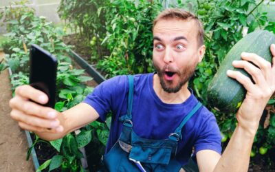 Get Into Gardening With These 5 Quick Tips