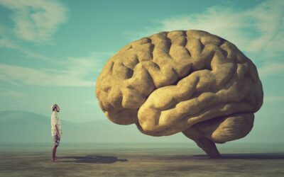 Stay Mentally Fit With Mental Fitness