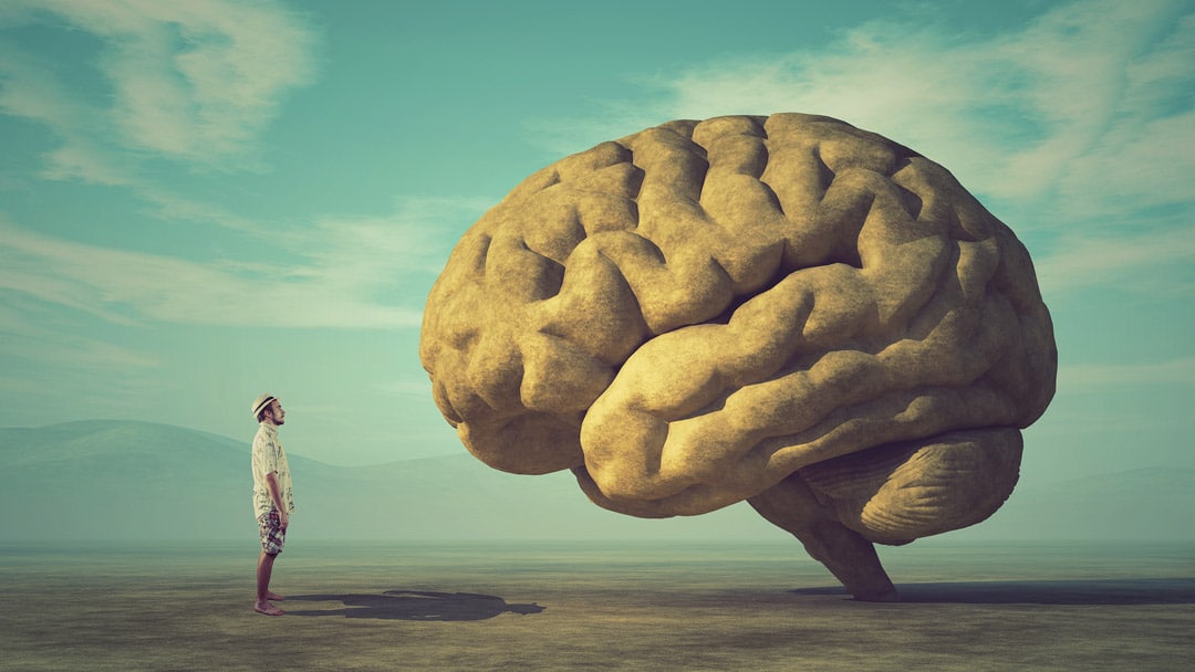 Mental Fitness