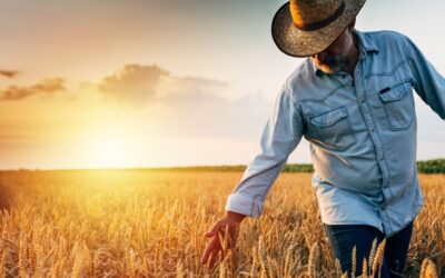 Where Can Rural Men Go to Talk When Times are Tough?